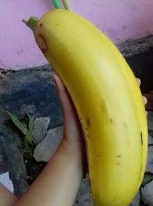 国产久久大香蕉,久久大香蕉的精彩呈现